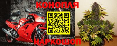 гашик Абакан