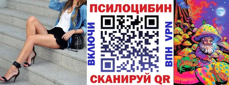 MEGA как войти  Алексин  Галлюциногенные грибы прущие грибы  как найти закладки 