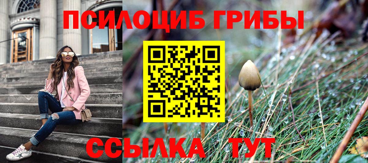 Псилоцибиновые грибы Magic Shrooms  Вход с VPN  Алексин  Псилоцибиновые грибы ЛСД 