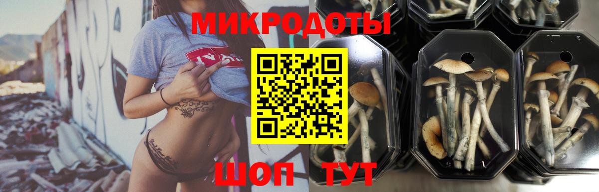 Галлюциногенные грибы Magic Shrooms Алексин